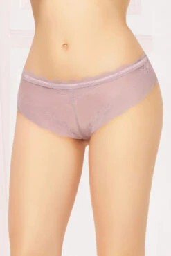 STM-10877, High Waisted Panty -Funky Lingerie Outlet 10877 MAUVE F 92211.1590692674