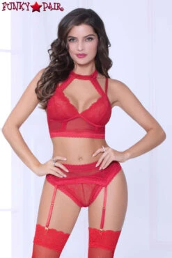 STM-10926, Lace And Net Harness Bra Set -Funky Lingerie Outlet 10926 RED F 21929.1594925927