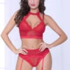 STM-10926, Lace And Net Harness Bra Set -Funky Lingerie Outlet 10926 RED F 90194.1594925927