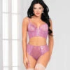 STM-11065, Lace And Mesh Bra And High Waist Panty -Funky Lingerie Outlet 11065 MAUVE F 48007.1592971483