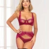 STM-11120, Chevron Lace Bra, Garterbelt And Panty 2 STM-11120, Chevron Lace Bra, Garterbelt And Panty -Funky Lingerie Outlet 11120 WINE F 26107.1592970718
