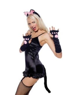 Pretty Kitty Accessory