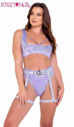 Roma R-6074 - Shimmer High-Waisted Shorts & Garter Belt -Funky Lingerie Outlet 6071 6074 Lav 21591.1649305881