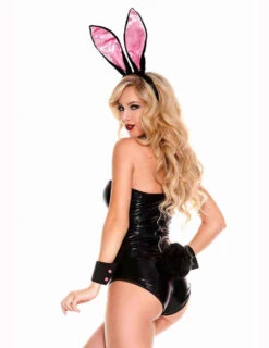 MUSIC LEGS ML-70660, Playful Rabbit Accessory Kit -Funky Lingerie Outlet 70660 back 24487.1695874156