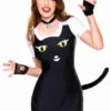 ML-70818. Kitty Accessory Kit -Funky Lingerie Outlet 70818 Bigger ear 32634.1695883141