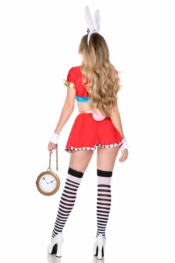 ML-71170, Rabbit Wonderland Costume -Funky Lingerie Outlet 71170 135 13841.1757734886