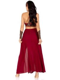 LA-85036, Warrior Maiden Costume By Leg Avenue -Funky Lingerie Outlet 85036 02 036 54665.1692772787