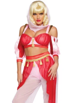 LA-86859, Dreamy Genie Costume
