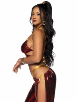 LA87089, Ruby Desert Princess Costume By Leg Avenue -Funky Lingerie Outlet 87089 004 217 83449.1663131298