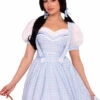 LA87300, Kansas Sweetie Costume By Leg Avenue -Funky Lingerie Outlet 87300 001 038 45411.1756342271