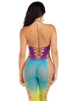 LA89323, Ombre Bodystocking -Funky Lingerie Outlet 89323 002 401 70922.1708457166