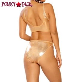 JV-FF264, Metallic High Waist Bottom -Funky Lingerie Outlet FF264 rose gold shimmer bk 47459.1559335235