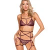 Roma LI282, 3pc Plum Color Cage Garter Set -Funky Lingerie Outlet LI282 28076.1618859655