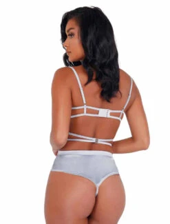 Roma LI405, Embroidered Lace And Satin Crotchless Teddy -Funky Lingerie Outlet LI405 Slvr Back 85312.1618595728