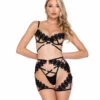 Roma R-LI647, Floral And Lace Trim Chap Set -Funky Lingerie Outlet LI647 35525.1702566431