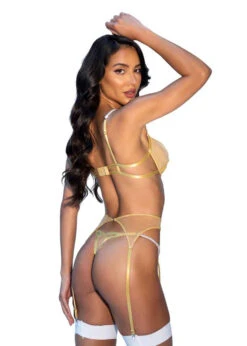 Roma R-LI726, Shimmer Mesh With Rhinestones Bow Accent Garter Set -Funky Lingerie Outlet LI726 Back 04418.1733338890