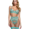 Roma R-LI789, Mesh Garter Set With Butterfly Accent -Funky Lingerie Outlet LI789 48681.1742272353