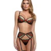Roma R-LI792, Cherry Design Garter Set -Funky Lingerie Outlet LI792 43093.1741998635