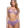 Roma R-LI826, Dot Mesh Bikini Set -Funky Lingerie Outlet LI826 14786.1742272652
