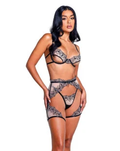 PBLI109, Playboy Bunny 3pc Lingerie Chap Set