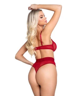 PBLI119, Playboy Mesh Bra And Thong Set -Funky Lingerie Outlet PBLI119 Burg Back 03538.1738042612
