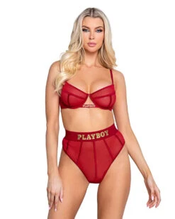 PBLI119, Playboy Mesh Bra And Thong Set