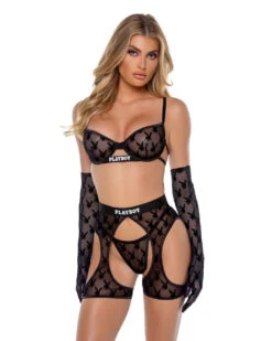 PBLI160, Mesh Playboy 3pc Chap Set -Funky Lingerie Outlet PBLI160 Blk 59224.1738040359