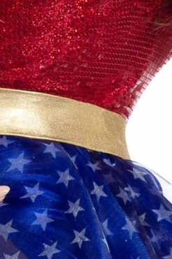 PK2121, Wonder Lady Costume -Funky Lingerie Outlet PK2121 Detail 1 81488.1724261634
