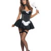 S2183, Seductive Maid Costume -Funky Lingerie Outlet S2183 24334.1633420005