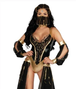 S2340, Dark Harem Nights Costume By Starline