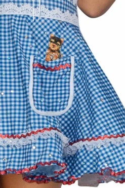 S2416, Kansas Sweetheart Costume -Funky Lingerie Outlet S2416 Detail 1 14171.1724259751