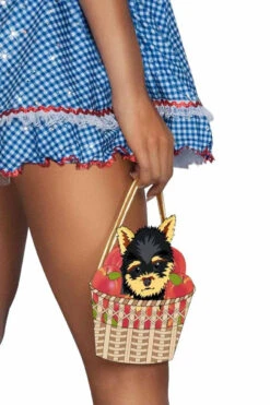 S2416, Kansas Sweetheart Costume -Funky Lingerie Outlet S2416 Detail 2 45192.1724259760