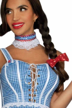 S2416, Kansas Sweetheart Costume -Funky Lingerie Outlet S2416 Detail 3 46351.1724259741